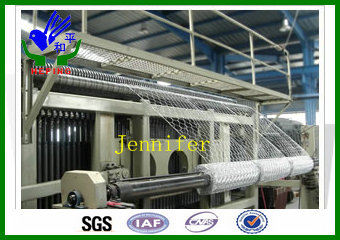 Wire Mesh Netting (HPZS-1023)