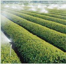 Organic Fertilizer 95% Soluble Potassium Humate