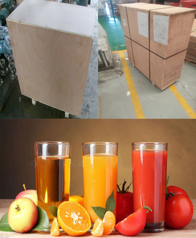 Ginger Pineapple Lemon Carrot Watermelon Grape Juicer Juice Extractor Machine