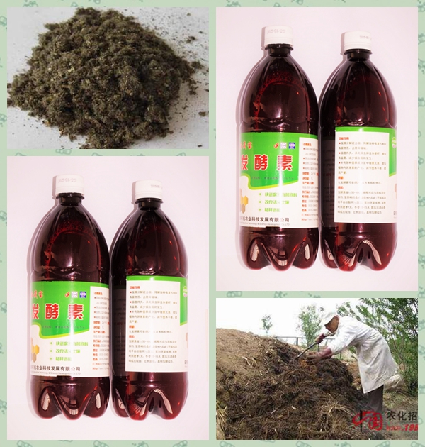 Seaweed Bio Inoculant Used for fermenting Organic Materials (DIY organic manure)