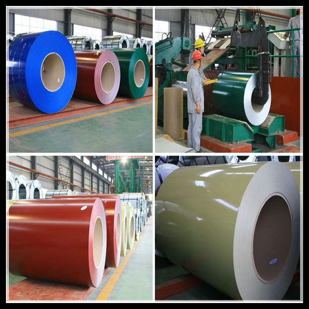 China Professional Pre-Painted Galvanized Steel Coil