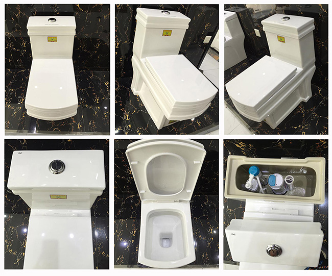 Hot Sale Washdown One-Piece Toilet to Middle East Market