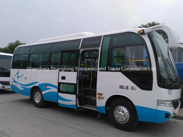 6.6m Passenger Bus 20 Seats to 28 Seats (LHD/RHD)