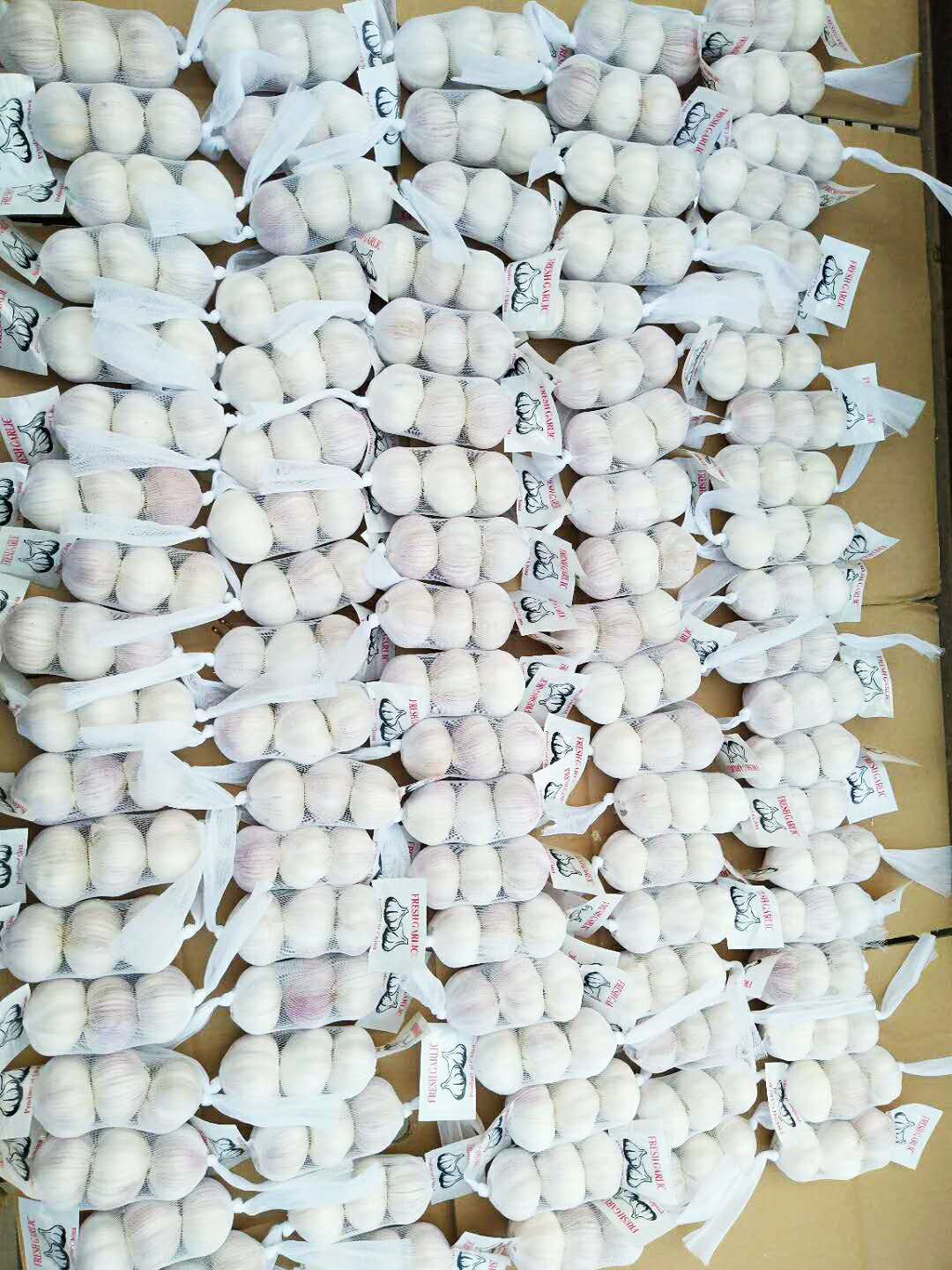 New crop fresh natural normal white garlic