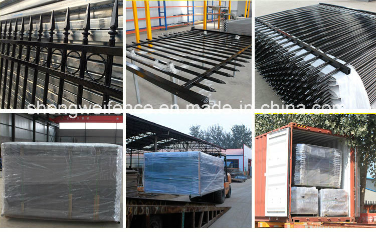 Hot Galvanized Steel Ornamental Fence