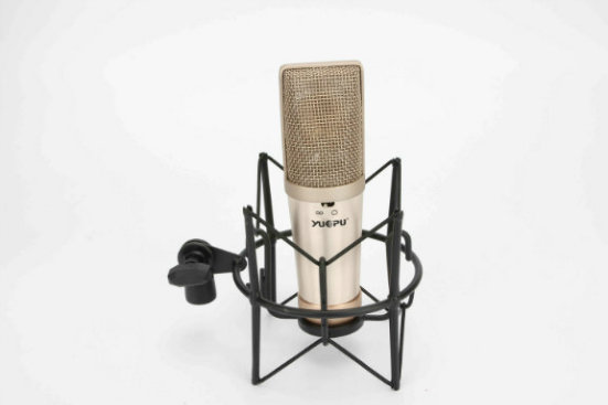 Professional Condenser Microphone