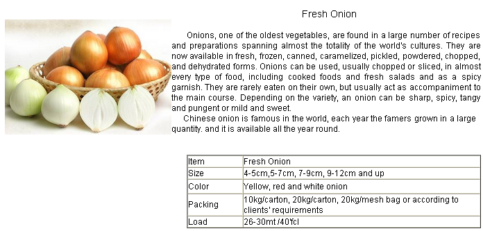 2016 Hot Selling Onion Seeds /Fresh Onion in China