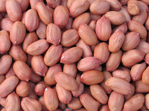 High Quality Red Skin Peanut Kernel