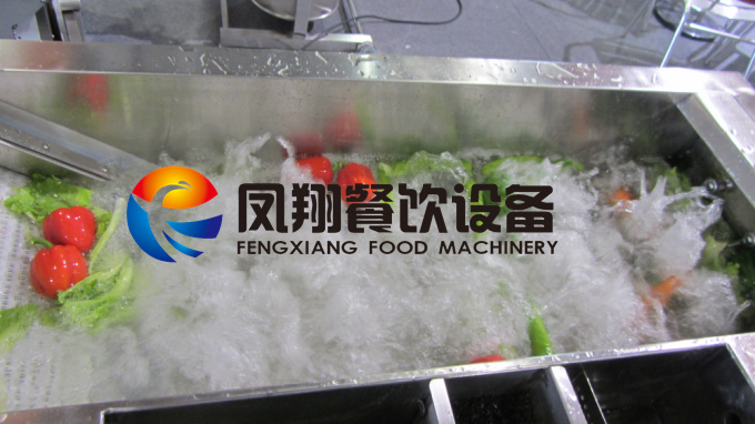 Multi-Funcion Vegetable Washer Washing Machine with Ce Certificated