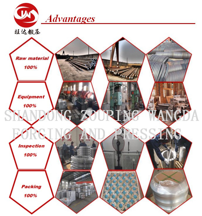 Manufacture Supply ANSI DIN Carbon Steel Welding Neck Forged Pipe Fittings Flange