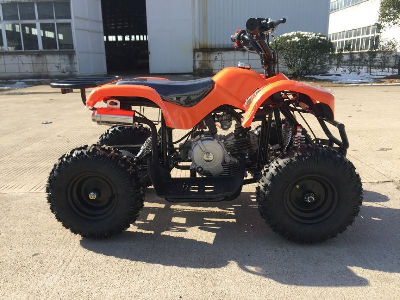 60cc Four Stoke Unique Engine Mini ATV for Cheapest Price in The World