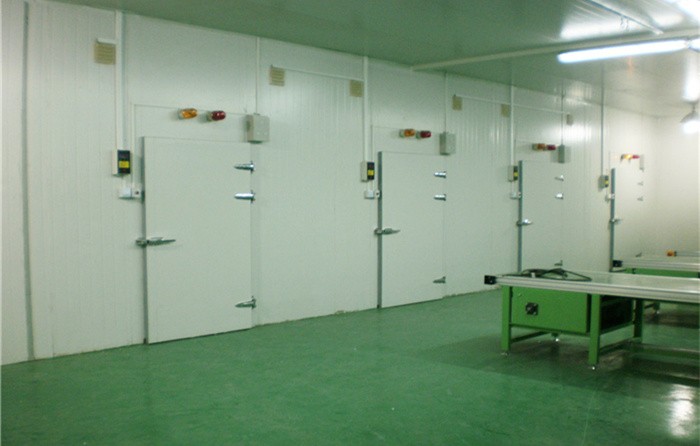 High Quality Cold Storage Room