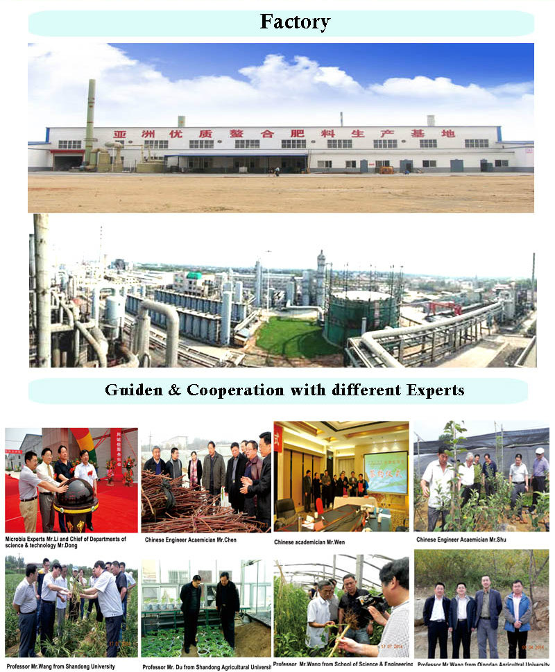 Competitive High Quality Coated Urea Fertilizer