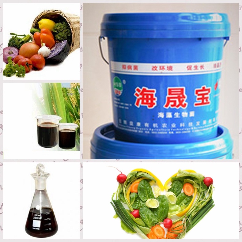 Bio Organic Fertilizer /Seaweed Fertilizer with soil conditioner