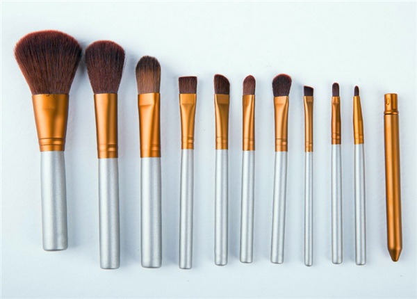 Wisdom 11PCS Professional Cosmetic Makeup Brush Set with Canvas