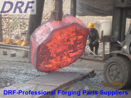 Forging Ring Stainless Steel (Forging ring)