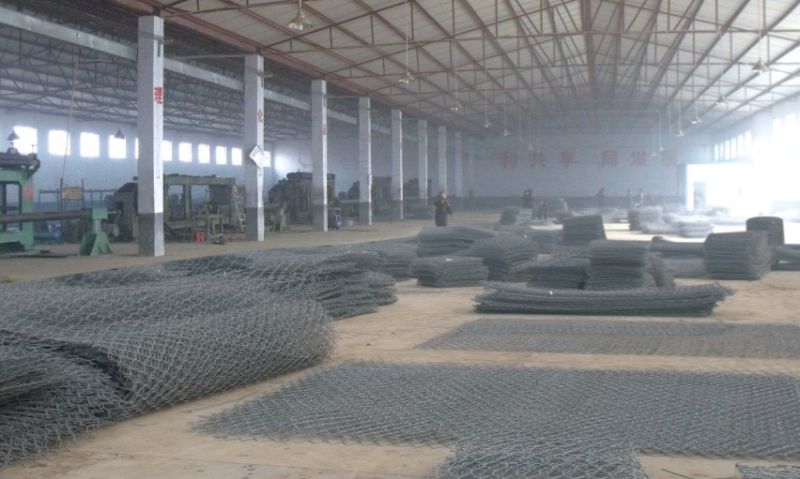 PVC Coated Gabion Box/Hexagonal Wire Mesh