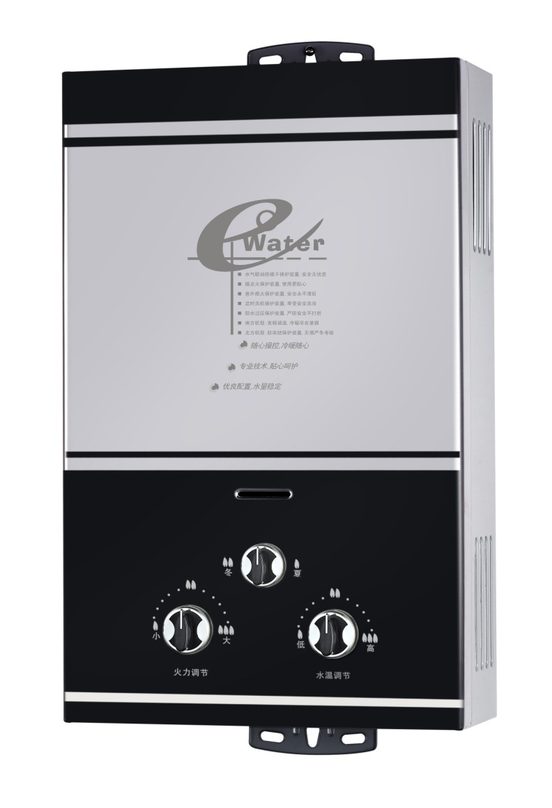 Flue Type Instant Gas Water Heater/Gas Geyser/Gas Boiler (SZ-RS-40)