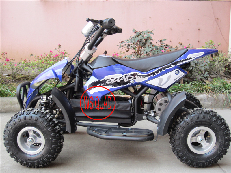 Children 500W 36V Electric Atvs Et-Eatv001