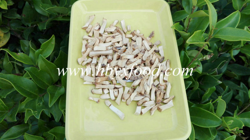 Granuled 7*7mm Dehydrated Shiitake Mushroom