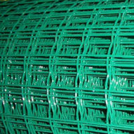 Welded Wire Mesh for Garden Eoru-Fence