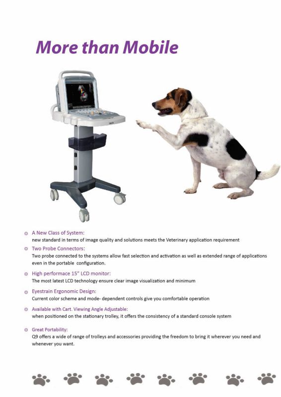 Laptop Portable Animal Veterinary Ultrasound Color Doppler (SC-Q9 VET)