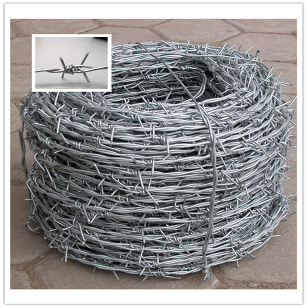 14X14# 16X16# Barbed Wire, Barbed Wire Mesh