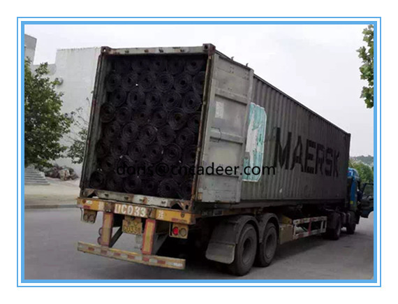 PP Biaxial Geogrid, for Road Construction/Biaxial Plastic Geogrid/Turf Grid