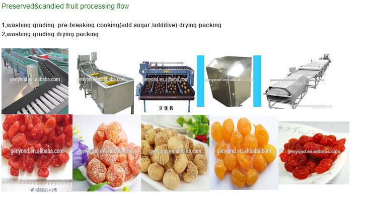 Stainless Steel Sliced Fruit Drying Machine