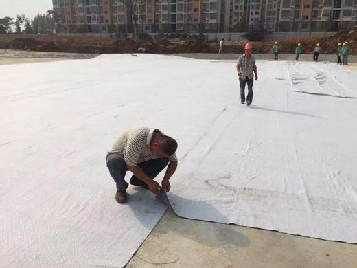 1-8 Meter Width Black HDPE Geomembrane Liner for Agriculture Pond