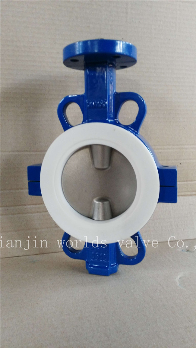 PTFE Butterfly Valve with Ce ISO Wras (CBF04-TA01)