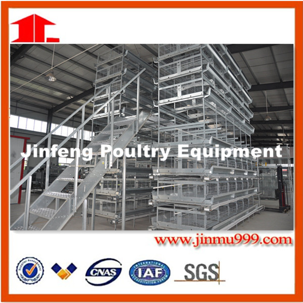 a & H Type Poultry Frame Equipment for Chicken Birds Farm