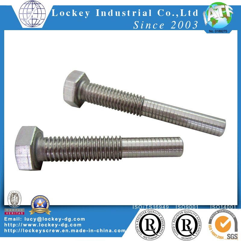 Grade 5 Alloy Steel Hex Bolt, Self Color