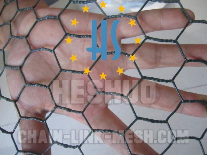 Hexagonal Chicken Wire Mesh