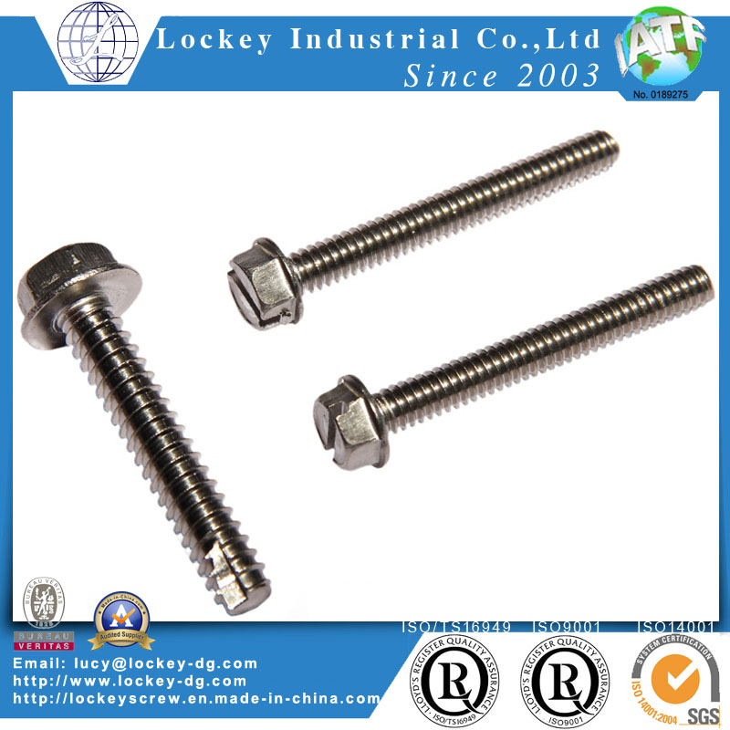 Ss316 Ss304 Hex Bolt Hex Flange Bolt Hex Screw