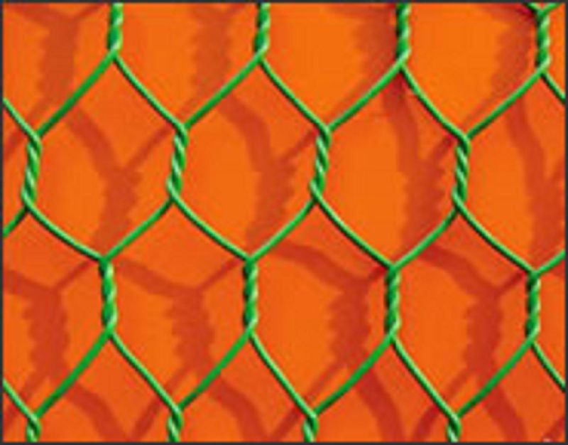 Galvanized Hexagonal Wire Mesh Chicken Mesh