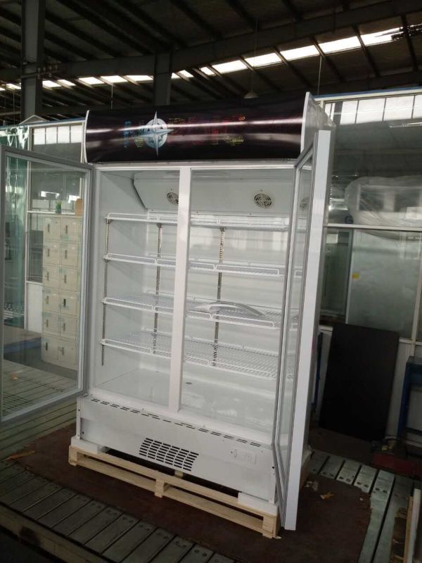 Display Refrigerator 2 Door Beverage Cooler Supermarket Refrigeration