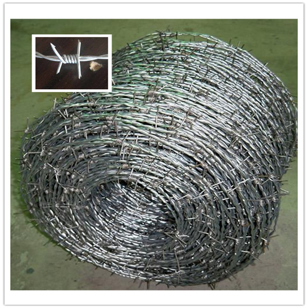 14X14# 16X16# Barbed Wire, Barbed Wire Mesh