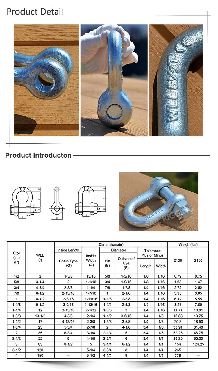 Us Type Carbon Steel Galvanized G2150 D Shackle