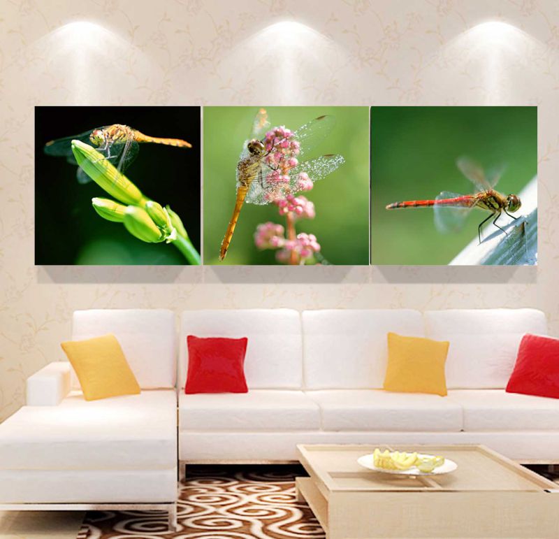 3 Panel Wall Art Oil Painting Dragonfly Painting Home Decoration Canvas Prints Pictures for Living Room Mc-260