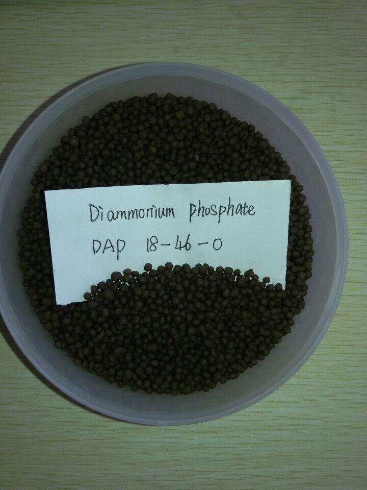 Hot Sale Compound Fertilizer 18-46-0 Diammonium Phasphate, DAP