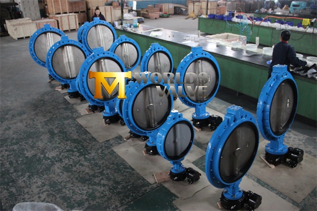 PTFE Coated Complete Control Butterfly Valve (CBF02-TA04)