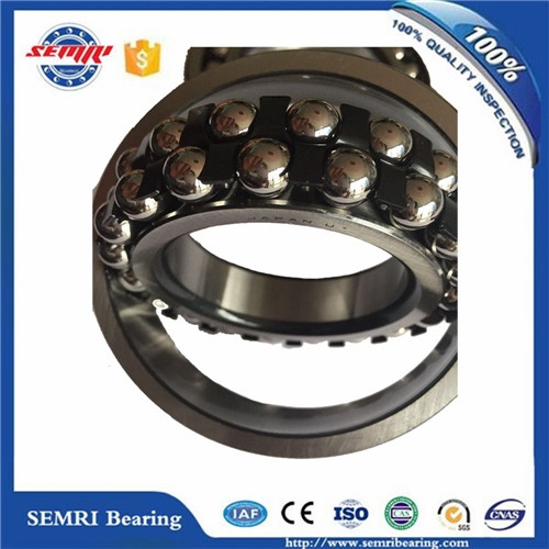 High Quality SKF Aligning Ball Bearing (1205)