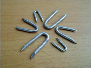 (Hot) U Fence Staple Nails for Sale