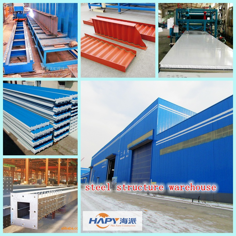 Steel Construction in Poultry House with Free Design and Efficient Installation