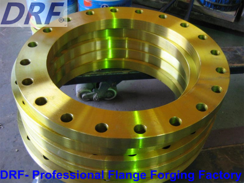 Stainless Steel Flange (DIN2633 WN40)