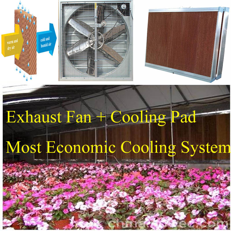 7090 Evaporative Cooling Pad for Poultryhouse/Greenhouse