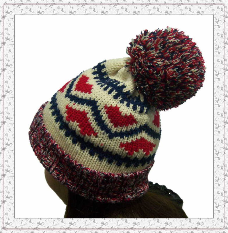 Weave Knitted Beanie Hat with Fleece Inside Winter Hat for Girls (1-3469)