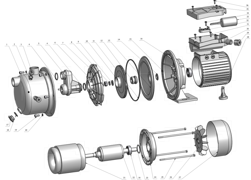 Italy Type 0.75HP Single-Phase Stainless Steel Electric Clean Water Pump