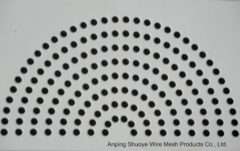 High Quality Galvaized Perforated Metal Mesh for Decorative Mesh